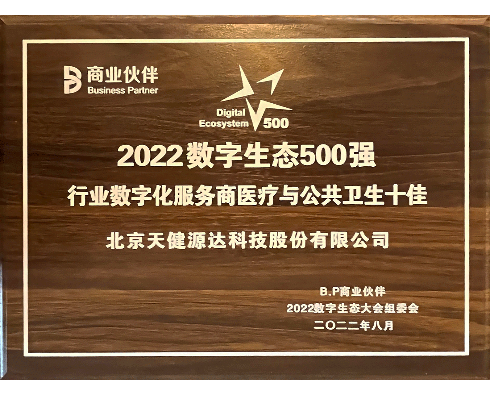 2022數(shù)字生態(tài)500強 行業(yè)數(shù)字化服務(wù)商醫(yī)療與公共衛(wèi)生十佳